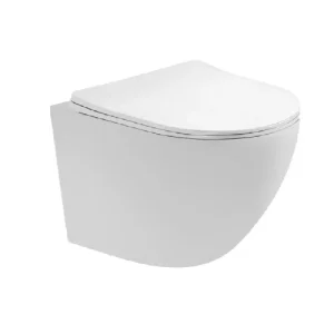 Унитаз подвесной Aquatek Европа с крышкой сиденье Белый глянцевый AQ1900T-00