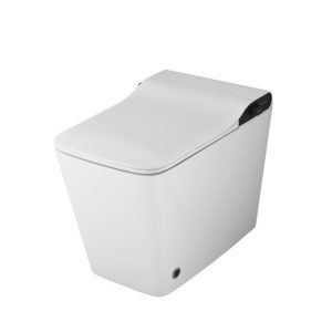 Унитаз приставной Grossman Smart с функцией биде Белый глянцевый GR-PR-5701